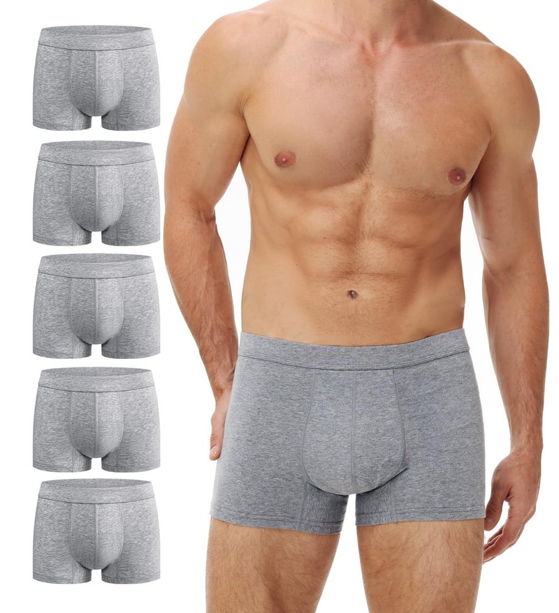 BATTEWA Washable Incontinence Underwear for Men Regular Cotton LeakProof Briefs with Front Absorption Area for Bladder Leak Protection 50mlGray XLarge 5 Pack